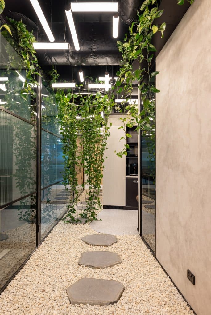 a coworking space hallway with hanging plants